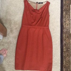Elite Tahari pumpkin spice sheath dress